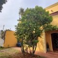 Casa de 4 dormitorios y escritorio, en Padrón Único con mucho estilo.